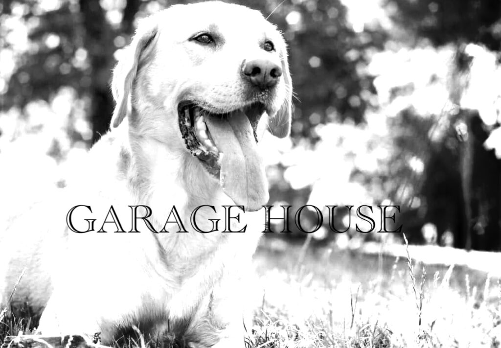 愛犬と暮らすガレージハウス